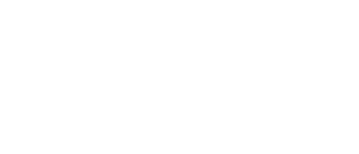 Brunsfield-Logo-White